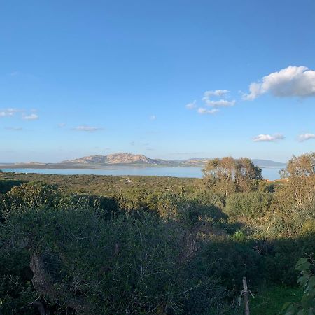 Appartamento Cuile Nanni D'Oro Stintino Esterno foto