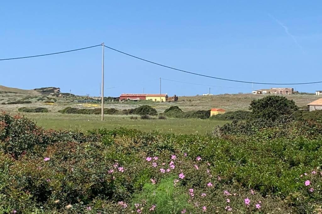 Appartamento Cuile Nanni D'Oro Stintino Esterno foto