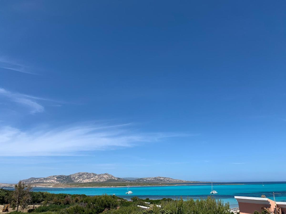 Appartamento Cuile Nanni D'Oro Stintino Esterno foto
